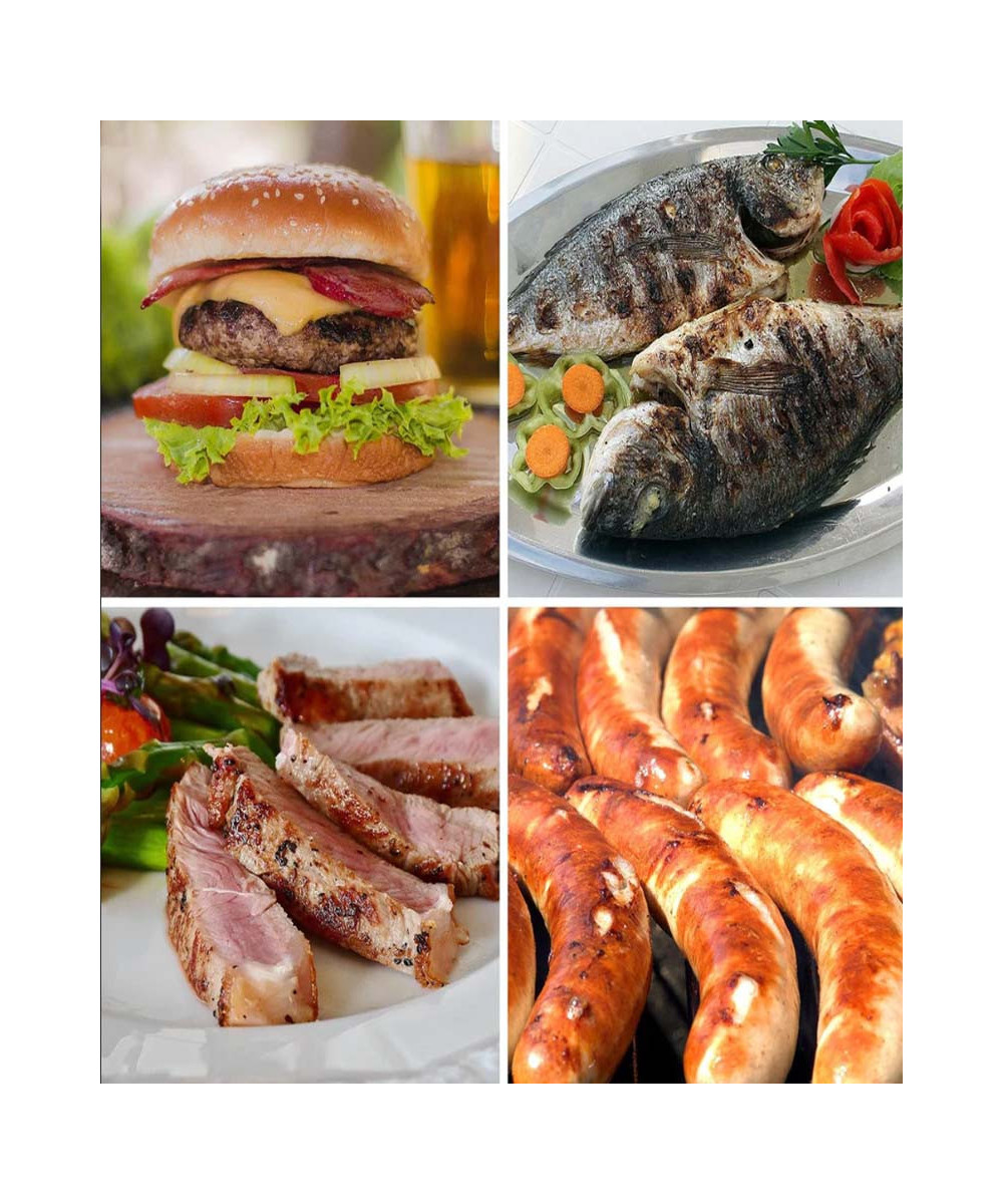 PANINI GRILL ELECTRIQUE MULTIFONCTION RAF, ANTI-ADHESIF, OUVERTURE 180°