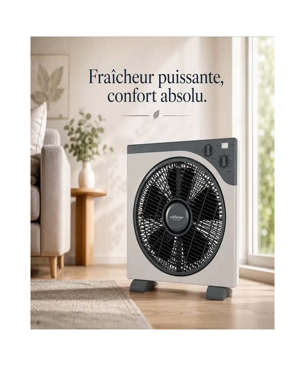 copy of VENTILATEUR 3 EN 1 SCHLEIZER 18 POUCES