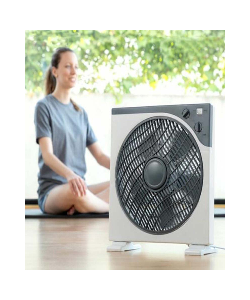 VENTILATEUR SCHLEIZER 12 POUCES