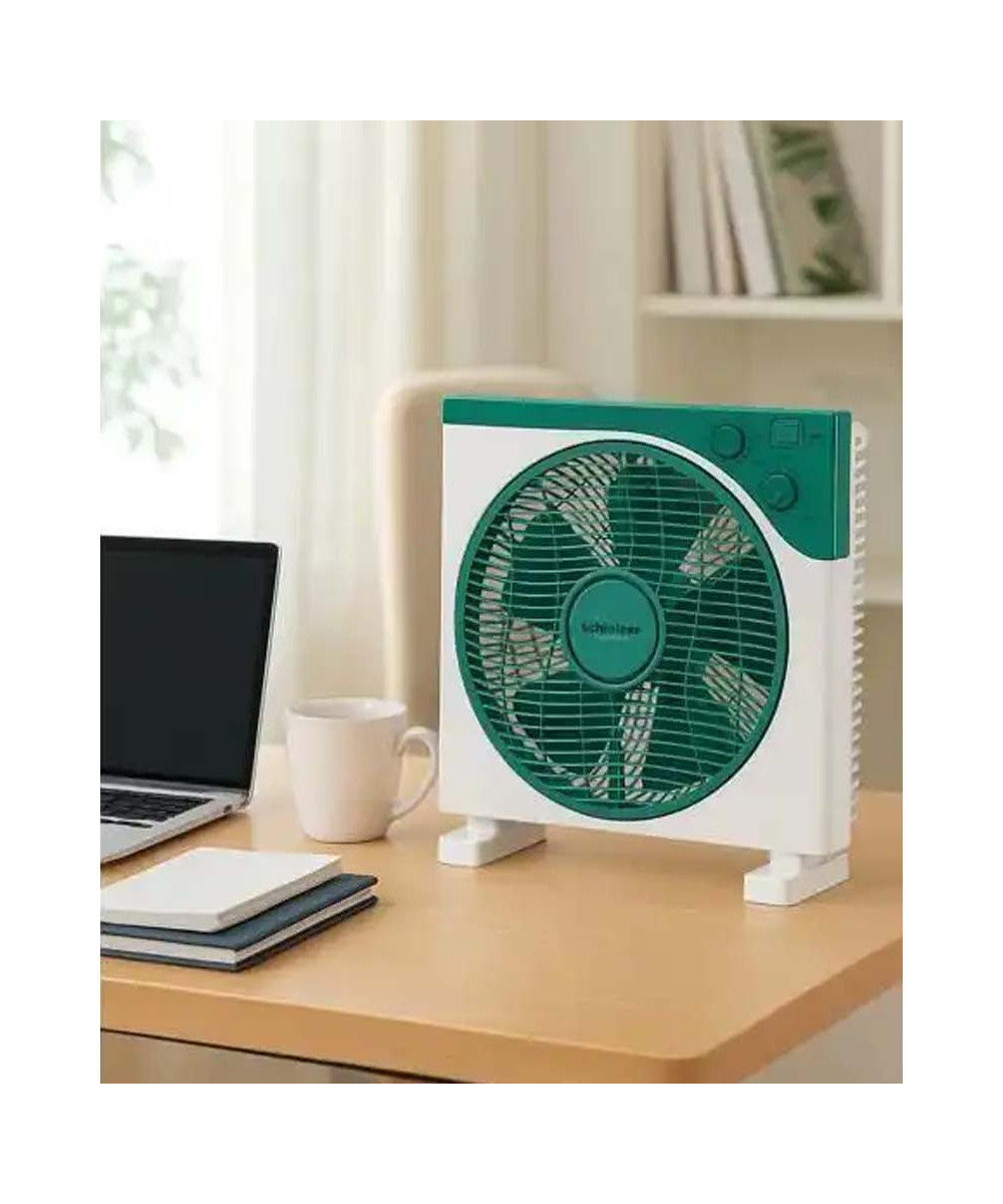 copy of copy of VENTILATEUR 3 EN 1 SCHLEIZER 18 POUCES